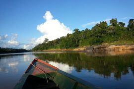 Boat navigating the calm waters of Lake Sandoval in Tambopata