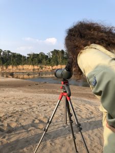 Visitor observing macaws from the riverbank in Tambopata