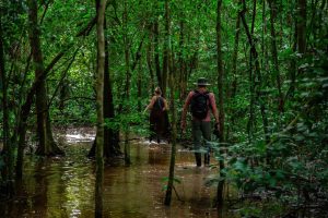 Tourists walking through a flooded rainforest trail in Tambopata