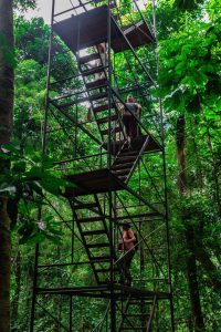 Visitor climbing a jungle observation platform along the Amazon trail