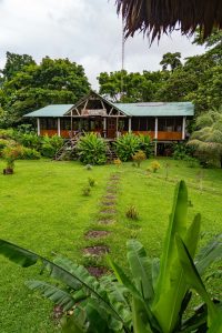 Amazon jungle lodge cabin surrounded by greenery