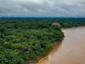 Aerial view of the Amazon River meandering through dense rainforest
