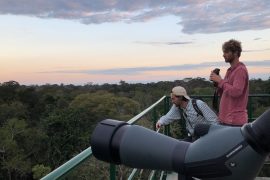 Travelers watching the Amazon rainforest sunset from a canopy tower
