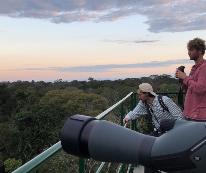 Travelers watching the Amazon rainforest sunset from a canopy tower
